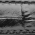 Ušlachtilá telacia koža Kroko-Optik klasická čierna
